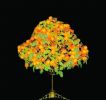 Emulational Tree, Orange Tree Light, Fruit Light